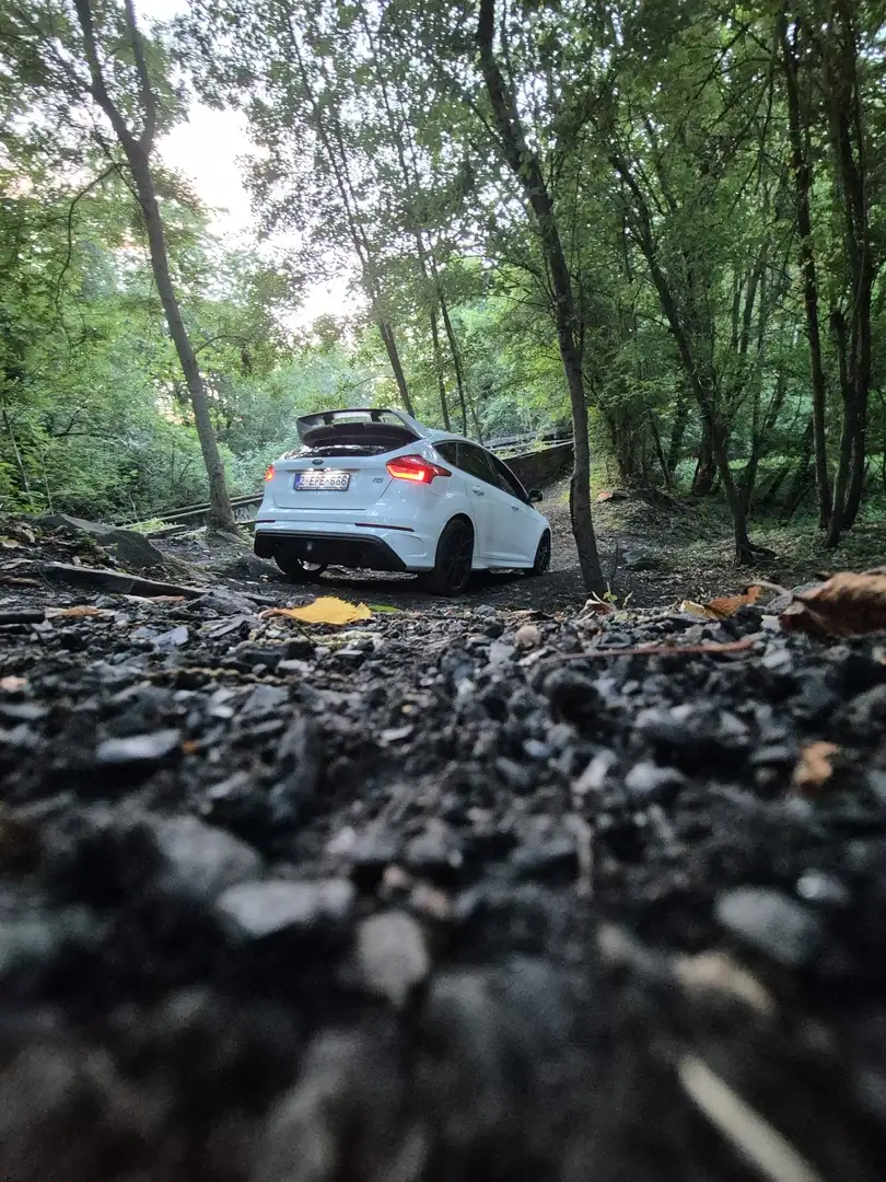 Ford Focus RS 2.3 EcoBoost 4x4 - 2