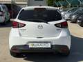 Mazda 2 1.5d DIESEL  euro 6 PROBLEMI FAP Wit - thumbnail 20