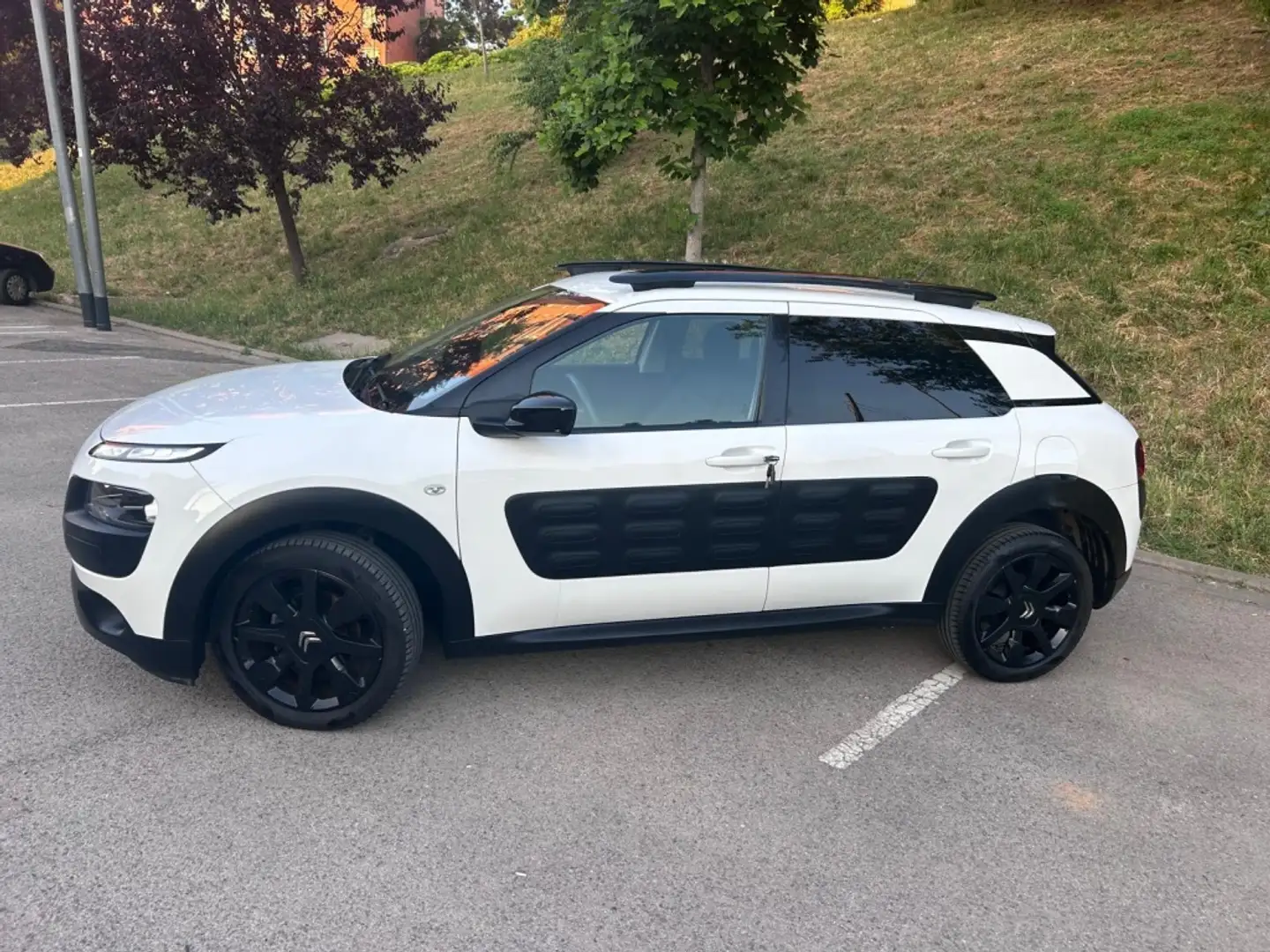 Citroen C4 Cactus 1.6 BlueHDi S&S Shine 100 Bianco - 2