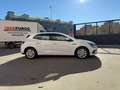 Renault Megane 1.5dCi Blue Business 85kW Bianco - thumbnail 6