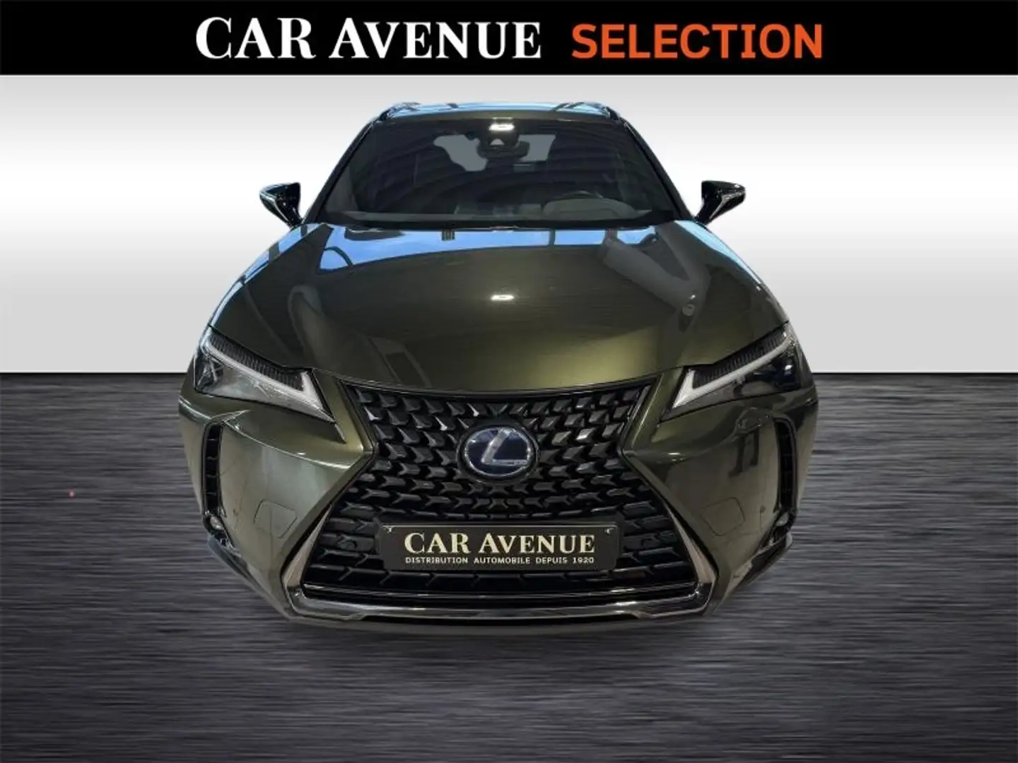 Lexus UX 250h 250h Black Line Groen - 2