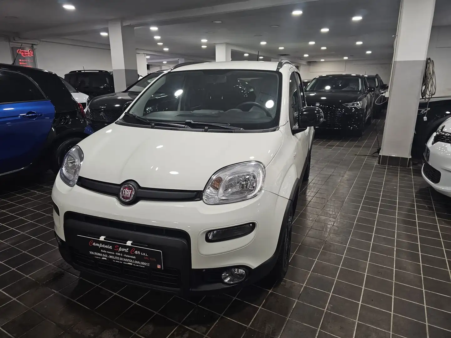 Fiat Panda CITYLIFE 1.0 FIREFLY 70CV HYBRID - ITALIANA Weiß - 1