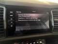 Skoda Kodiaq 2.0 TDI Tour Matrix/StandHZ/AHK/ACC Gris - thumbnail 21