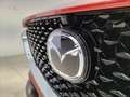 Mazda CX-30 2.0 e-Skyactiv-X Exclusive Line Plus FWD 137kW Rojo - thumbnail 6