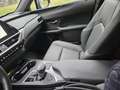 Lexus UX 250h 2.0 Design 2wd cvt Blu/Azzurro - thumbnail 6