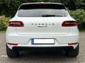 Porsche Macan S/SHZ/SBL/PANO/LED/BOSE Wit - thumbnail 5