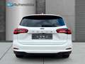 Ford Focus Turnier Titanium X *LED*CARPLAY*AUTOMATIK* Blanc - thumbnail 7