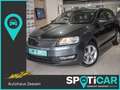 Skoda Rapid/Spaceback Grau - thumbnail 1