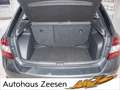 Skoda Rapid/Spaceback Grau - thumbnail 16