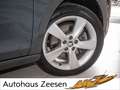 Skoda Rapid/Spaceback Grau - thumbnail 5