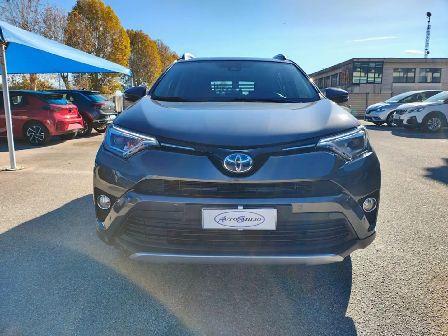 Toyota RAV 4 RAV4 2.5 Hybrid 4WD Lounge Grigio - 2