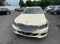 Mercedes-Benz E 200 BlueTEC Giallo - thumbnail 10