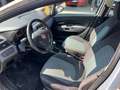 Fiat Grande Punto Grande Punto 5p 1.4 Active 77cv Argento - thumbnail 8