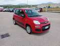 Fiat Panda 1.2 69cv Easy UNIPROPRIETARIO Rouge - thumbnail 7