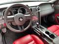 Ford Mustang GT ROUSH 4.6 V8-Manuale - 49000 KM Bianco - thumbnail 13