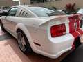 Ford Mustang GT ROUSH 4.6 V8-Manuale - 49000 KM Bianco - thumbnail 4