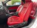 Ford Mustang GT ROUSH 4.6 V8-Manuale - 49000 KM Bianco - thumbnail 8