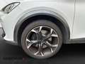CUPRA Formentor 2.0 4Drive*Navi*LED*Winter*Full-Link* Weiß - thumbnail 11