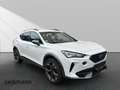 CUPRA Formentor 2.0 4Drive*Navi*LED*Winter*Full-Link* Weiß - thumbnail 3