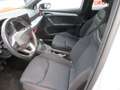SEAT Ibiza FR 1.0 TSI DSG NAVI KAMERA LED ACC ALU 18 ASSIST SITZHEIZUNG CLIMATRONIC eFH ZV Weiß - thumbnail 6