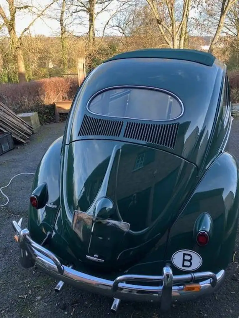 Oldtimer Volkswagen coccinelle découvrable "ovale" - 2
