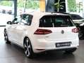 Volkswagen Golf 2.0 TSI GTI Perf.*DSG*Navi*Kamera*PANO Weiß - thumbnail 4