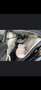 Mercedes-Benz CLS 400 Mercedes-Benz CLS 400 d 4MATIC | AMG 53 Look - thumbnail 15