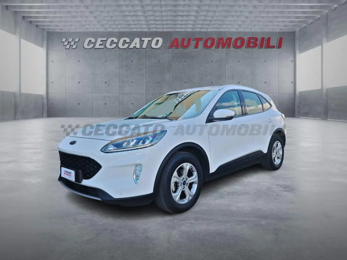 Ford Kuga Kuga 1.5 ecoblue Connect 2wd 120cv Weiß - 1