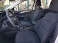 Ford Kuga Kuga 1.5 ecoblue Connect 2wd 120cv Weiß - thumbnail 13
