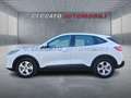 Ford Kuga Kuga 1.5 ecoblue Connect 2wd 120cv Weiß - thumbnail 2