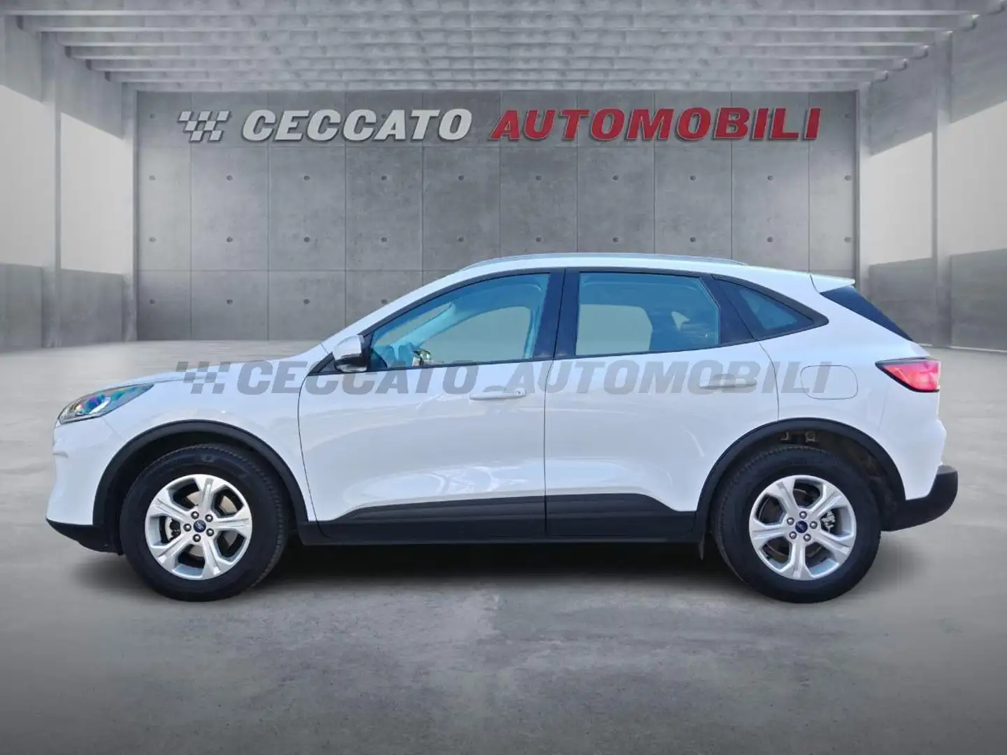 Ford Kuga Kuga 1.5 ecoblue Connect 2wd 120cv Weiß - 2