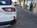 Ford Kuga Kuga 1.5 ecoblue Connect 2wd 120cv Weiß - thumbnail 19