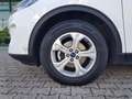 Ford Kuga Kuga 1.5 ecoblue Connect 2wd 120cv Weiß - thumbnail 6