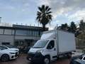 Opel Movano SPONDA ELETTRICA PRONTA CONSEGNA + IVA Blanc - thumbnail 1