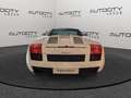 Lamborghini Gallardo SPYDER 5.0 BASIS Blanc - thumbnail 4