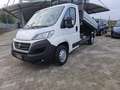 Fiat Ducato Bianco - thumbnail 2
