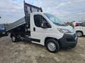 Fiat Ducato Bianco - thumbnail 6