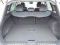 Renault Kadjar Bose Edition Navi Rückfahrkamera 19 Zoll Aluf. Weiß - thumbnail 12