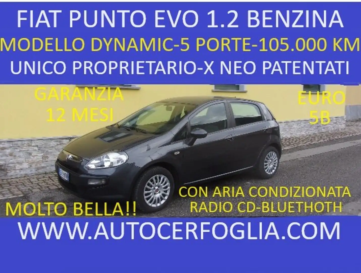 Fiat Punto Evo 5p 1.2 Dynamic 65cv-X NEO PATENTATI!! Szary - 1