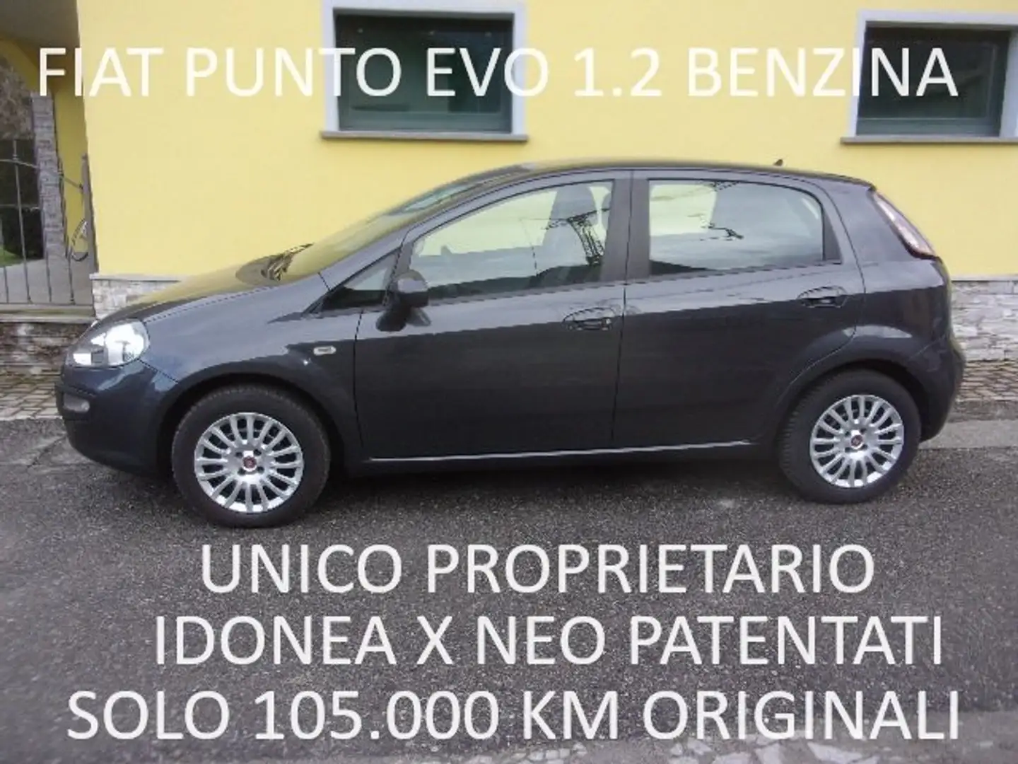 Fiat Punto Evo 5p 1.2 Dynamic 65cv-X NEO PATENTATI!! Gris - 2