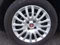 Fiat Punto Evo 5p 1.2 Dynamic 65cv-X NEO PATENTATI!! Grigio - thumbnail 10