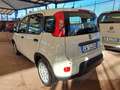 Fiat Panda Pandina 1.0 Firefly Hybrid S/S Blanc - thumbnail 4