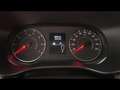 Dacia Jogger 1.0 tce Comfort Gpl 100cv 7p.ti Bleu - thumbnail 14