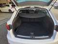 SEAT Leon ST 1.0 EcoTSI Style Business Intense Automaat/ Tre Blanco - thumbnail 7