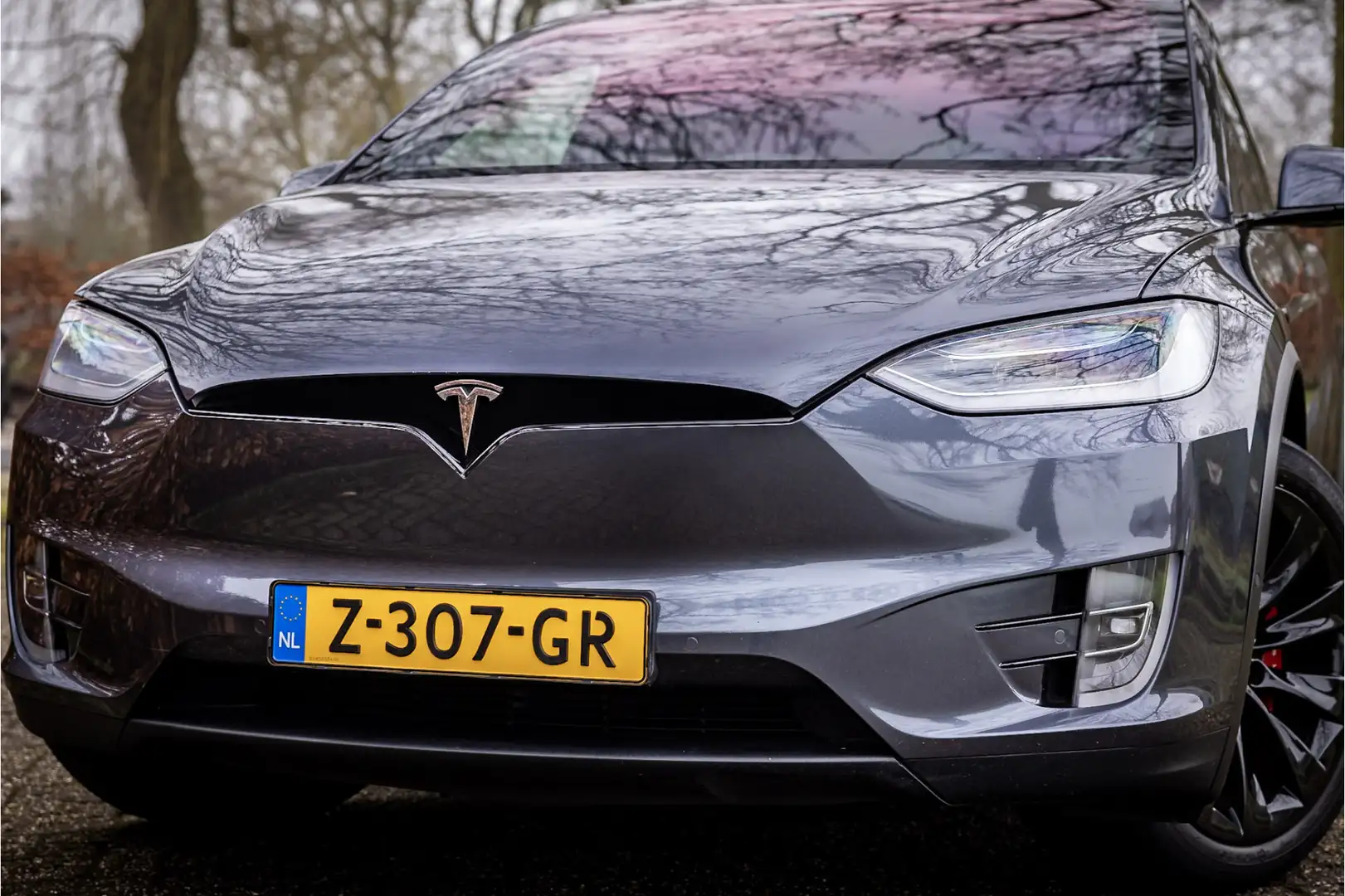 Tesla Model X Performance Ludicrous Facelift Raven Full Self Dri Gris - 2