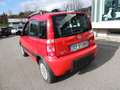Fiat Panda Panda  1.2 Climbing 4x4 69cv E5 Rouge - thumbnail 8