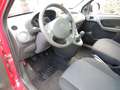 Fiat Panda Panda  1.2 Climbing 4x4 69cv E5 Rouge - thumbnail 13