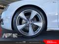 Audi A5 A5 Coupe 3.0 V6 tdi Ambition quattro s-tronic Wit - thumbnail 5