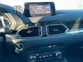 Mazda CX-5 CD150 AWD Revolution, Allrad 8-fach Bereift - thumbnail 7