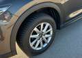 Mazda CX-5 CD150 AWD Revolution, Allrad 8-fach Bereift - thumbnail 15